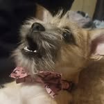 dakota - @dakotaburchat - Instagram