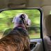Dakota Cooley - Facebook