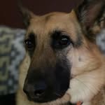 Dakota - @dakota_dailey15 - Instagram