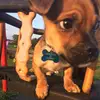 Dakota Doherty  - @ddoherty343 - TikTok