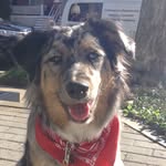 Dakota - @dakotaelder.5 - Instagram