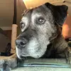 Dakota - @dakotatheelder - TikTok