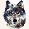 dakotaelder210 - @dakotaelder210 - TikTok