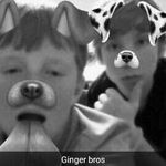 dakota ellis - @wrestling_is_life_2378 - Instagram