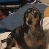 Dakota Ellis Naruto fan - @dakota.ellis2 - TikTok
