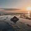 DAKOTA💜 - @dakotaferrell - TikTok