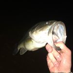 Dakota Martin - @dakota_fishing_2 - Instagram