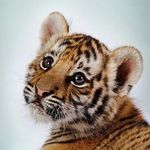 Dakota Fleming - @dakota.fleming.750 - Instagram