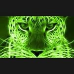 Dakota Greer - @panthersrock2001 - Instagram