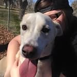 Dakota Lester - @dakotalester23 - Instagram