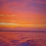 Dakota Lester - @dakotalester19 - Instagram