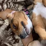 Dakota Lopez - Facebook