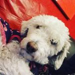 Dakota López Márquez - @dakota_lopez_marquez - Instagram