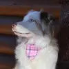 Dakota Meadows - @itsdakotameadows - TikTok