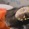 Dakota Meadows - @takenbysky0742479 - TikTok