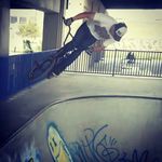 Dakota Morrow - @dakota_morrow - Instagram