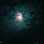 Dakota Moses - Facebook
