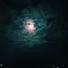 Dakota Moses - @dakota.moses1 - TikTok