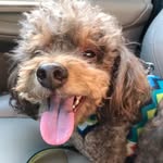 Dakota Murphy - @mrbutter57 - Instagram