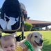 Dakota A. Olson - Facebook