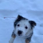 Dakota Orr - Facebook