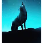 Dakota Pellere - @dakotapellere - Instagram