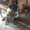 nat_peyton_dakota_T - @nat_peyton_dakota_t - TikTok
