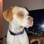 Dakota Pointer - @dakota.pointer.37 - Instagram