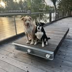 Dakota Randall - Facebook