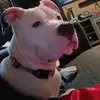 Dakota - @dakotascott079 - TikTok