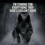 Dakota Staton - @lonewolf_is_me - Instagram