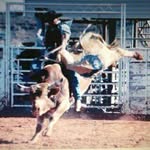 Dakota Stephens - @dakotastephens.1342 - Instagram