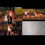 Dakota Stephens - @stephensdakota665 - Instagram