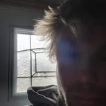 Dakota Stephens - @dakman8191 - Instagram