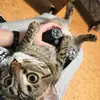 Dakota Summers - @dakota.summers - TikTok