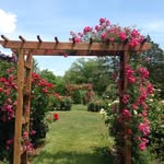 Dakota Warner - @happylifewithplants - Instagram