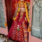 Daksha Dave - @dakshadave12 - Instagram