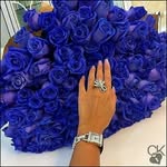 Dalal Salem - @dodysalem10 - Instagram