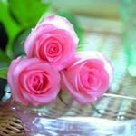 Dalal Salem - @dalal.salem.560 - Instagram