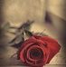 Dalal Salem - Facebook