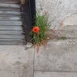 Dale Abramson - @daleabramson - Instagram