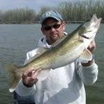Dale Aman - @dale.aman.54 - Instagram