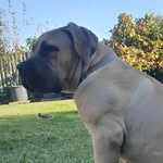 Dale Astill - @astill.dale - Instagram