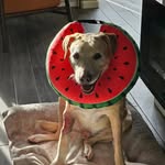 Dale Atkinson - @atkinson4487 - Instagram