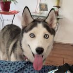 Dale Avery Miller - @daleaverymiller1 - Instagram