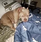 Dale Baker - Facebook