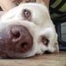 Dale Bailey - Facebook