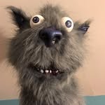 dale - @dalebarely - Instagram
