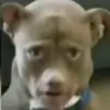 kjbarksdale2234565422357654447 - @kj.barksdale5 - TikTok