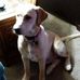Tom Bart - Facebook